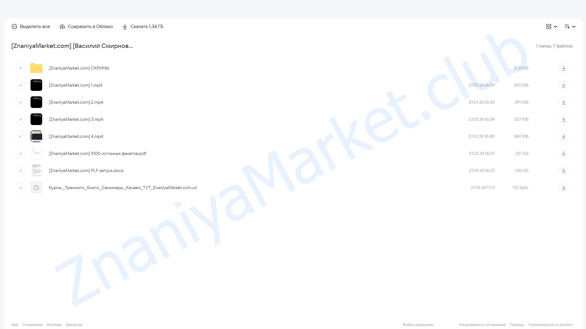 МГ600 (Василий Смирнов) облако mail, фото 2 из 2.