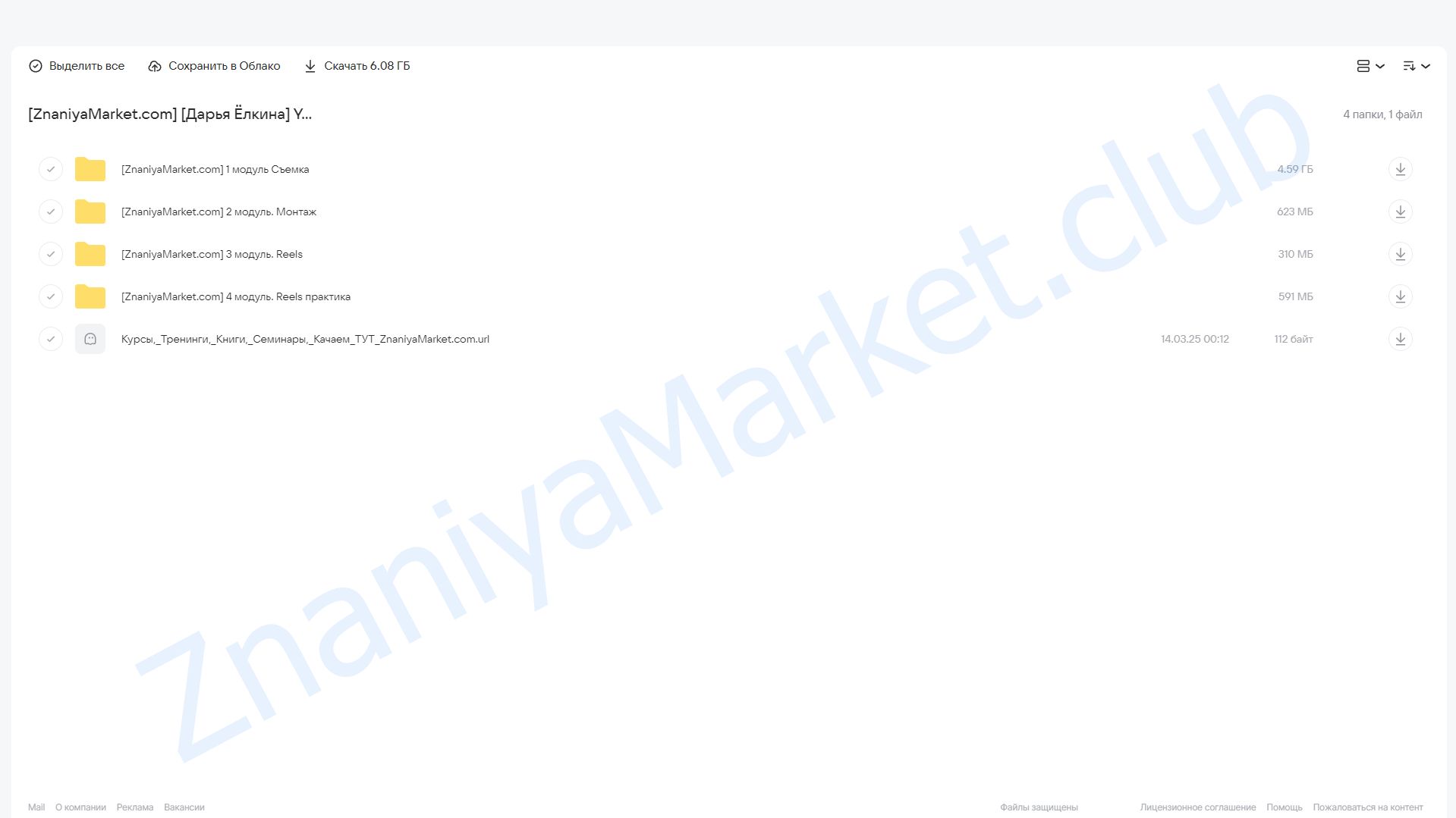 YoReels. Тариф Base (Дарья Ёлкина) облако mail, фото 2 из 2.