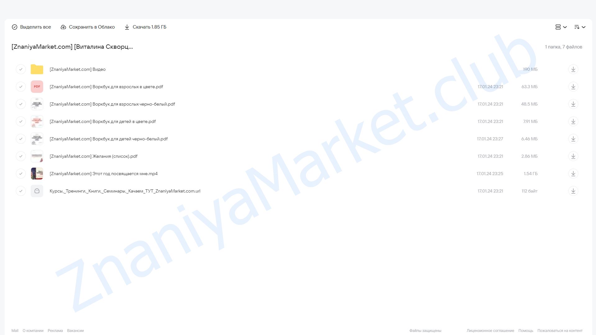 Этот год посвящается мне 2023/2024 (Виталина Скворцова-Охрицкая) облако mail, фото 2 из 2.