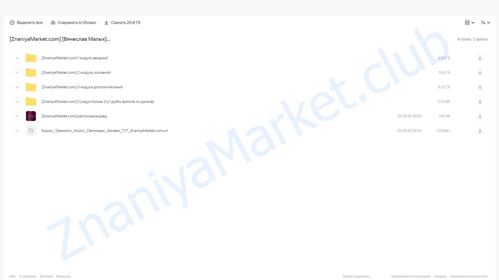 Лагерь PRO Рекламы 3.0. Тариф Селлер (Вячеслав Малых) облако mail, фото 2 из 2.