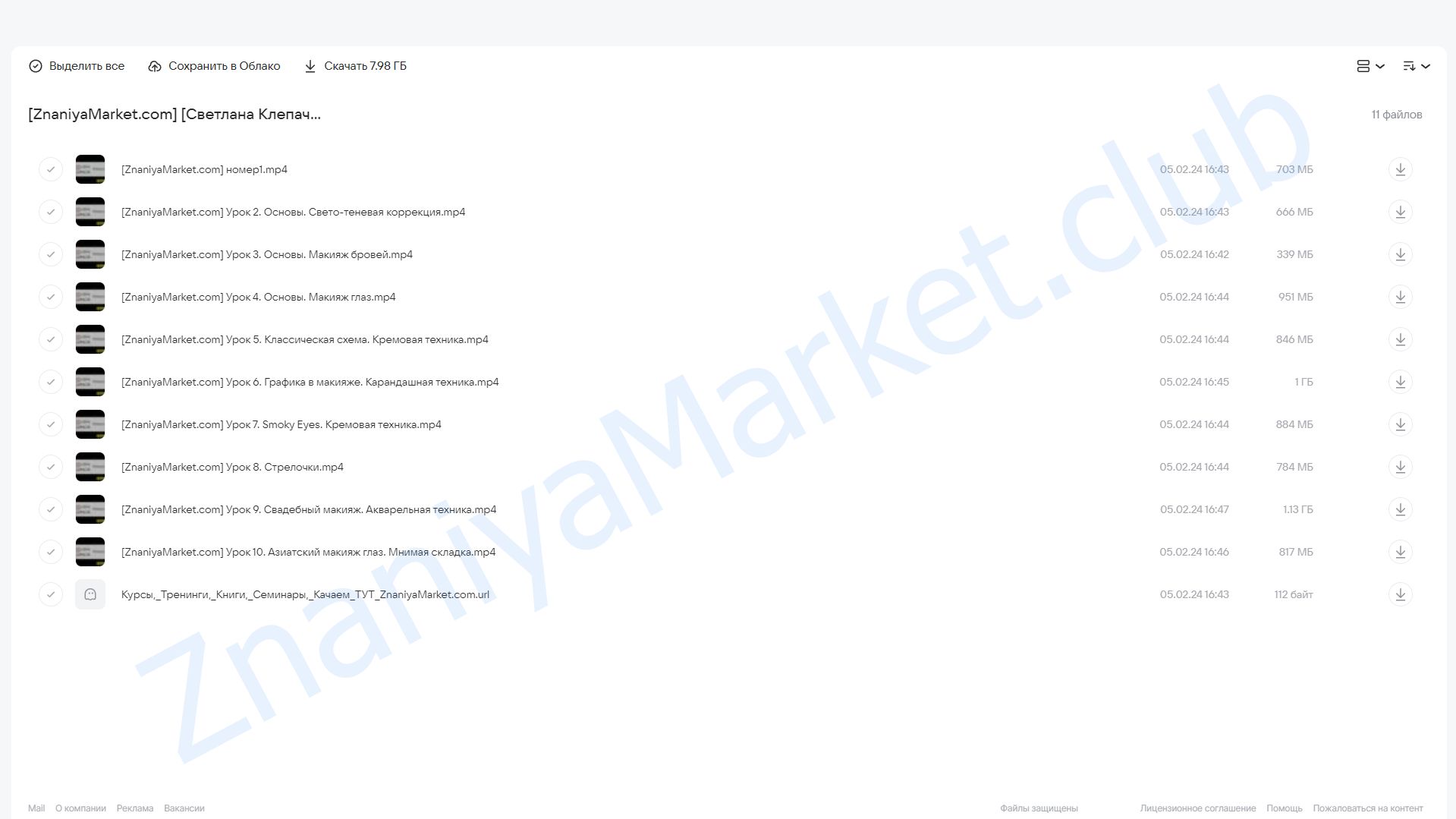 Курс для визажистов (Светлана Клепач) облако mail, фото 2 из 2.