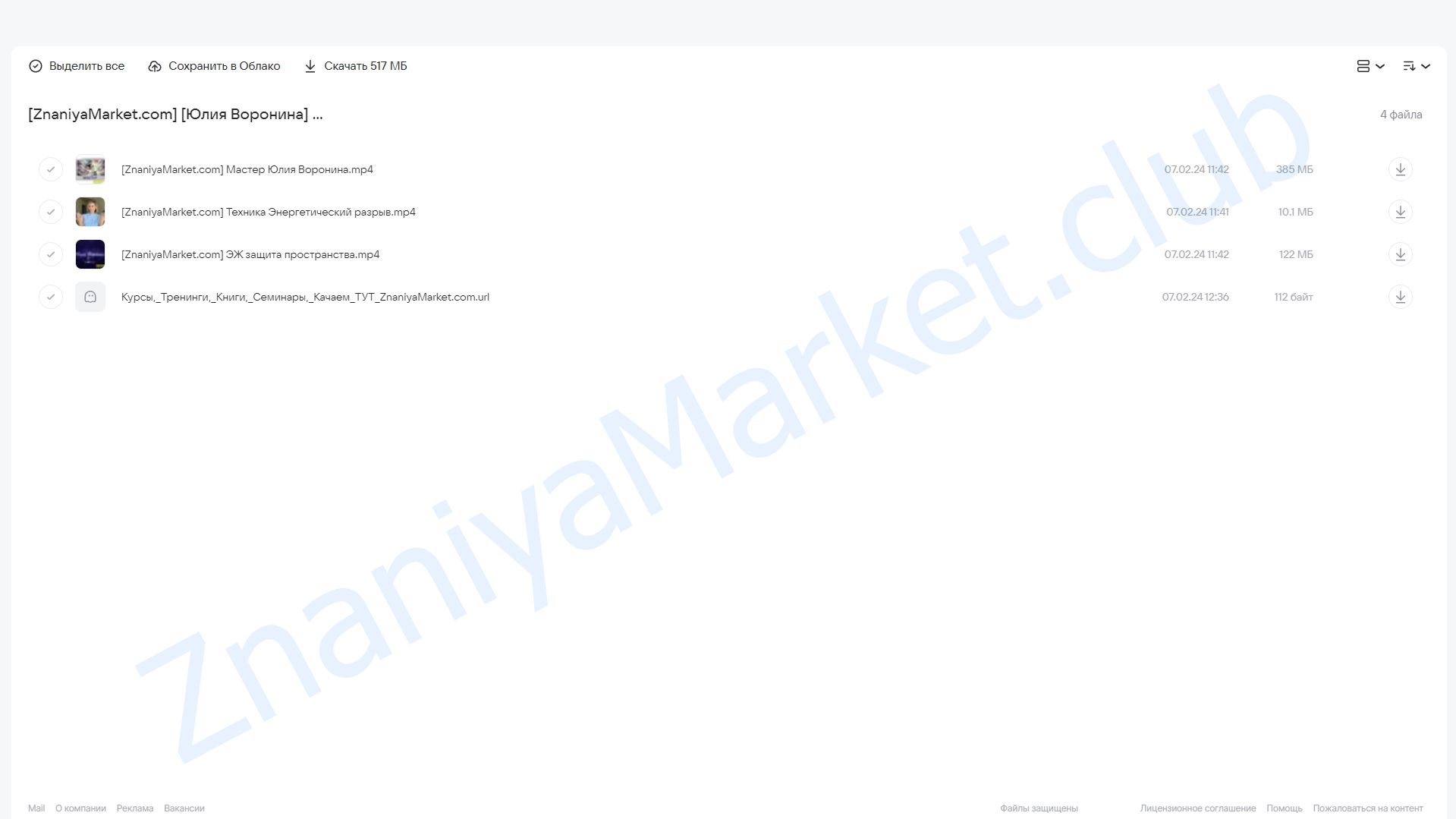 Мастер (Юлия Воронина) облако mail, фото 2 из 2.