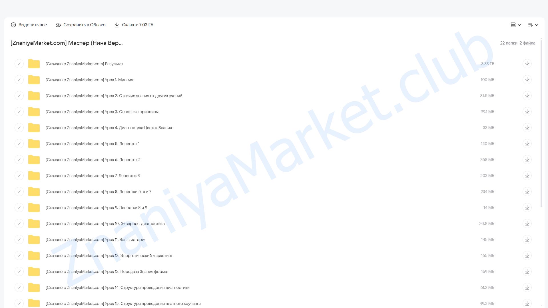 Мастер (Нина Веркойен) облако mail, фото 2 из 2.