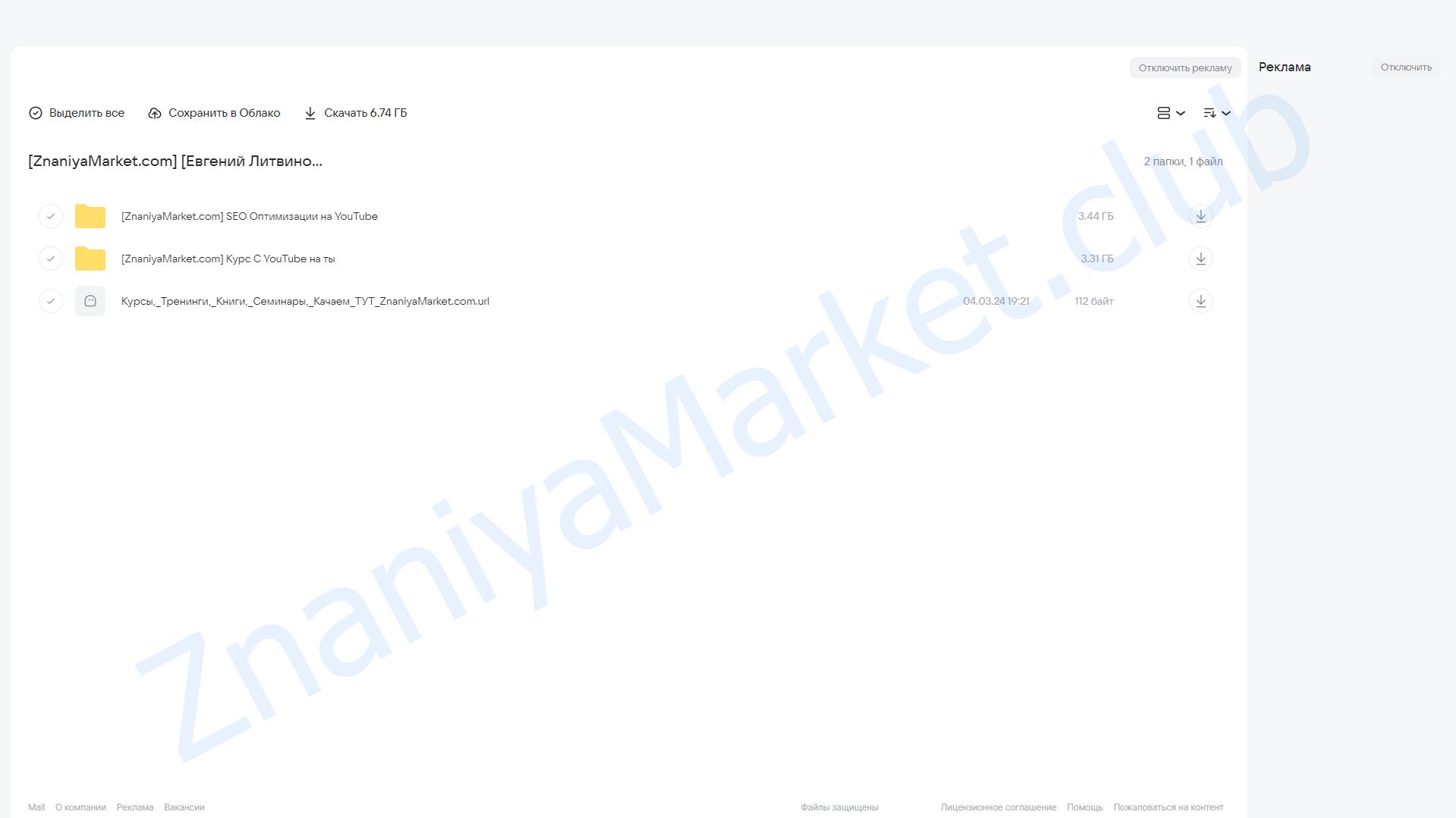 YouTube с нуля до PRO + SEO оптимизация на YouTube (Евгений Литвинов) облако mail, фото 2 из 2.
