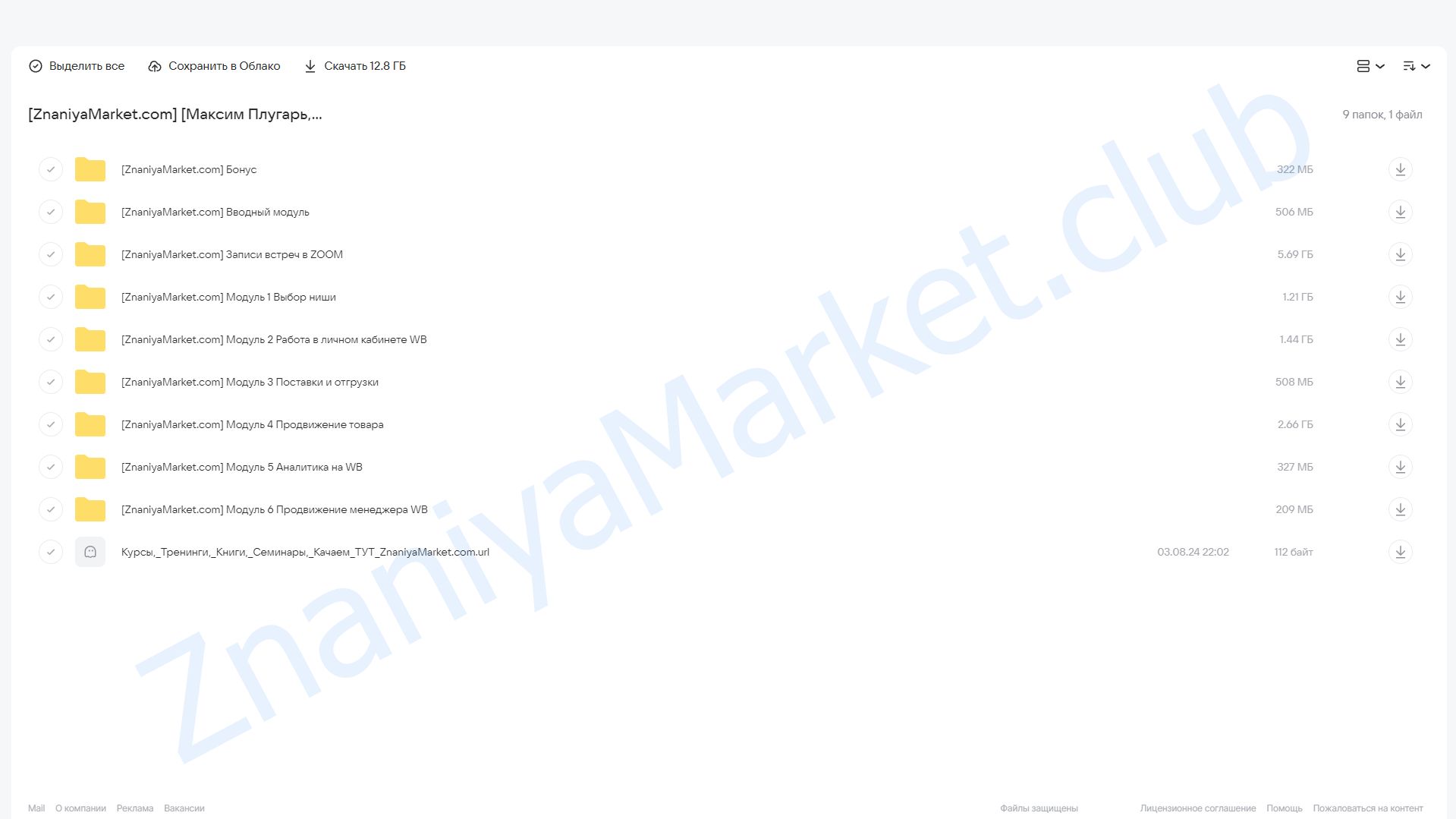 [X11club] Продажи на Wildberries. Тариф Менеджер (Максим Плугарь, Виталий Миранюк) облако mail, фото 2 из 2.