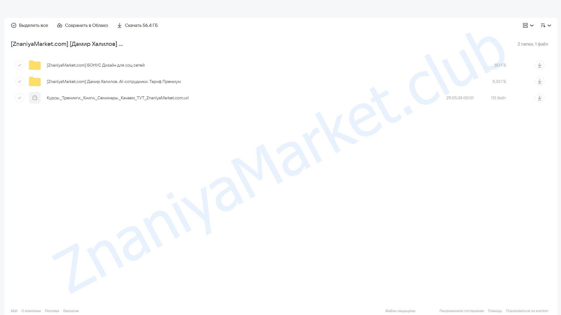 AI-сотрудники: создание, обучение, внедрение. Тариф Premium (Дамир Халилов) облако mail, фото 2 из 2.