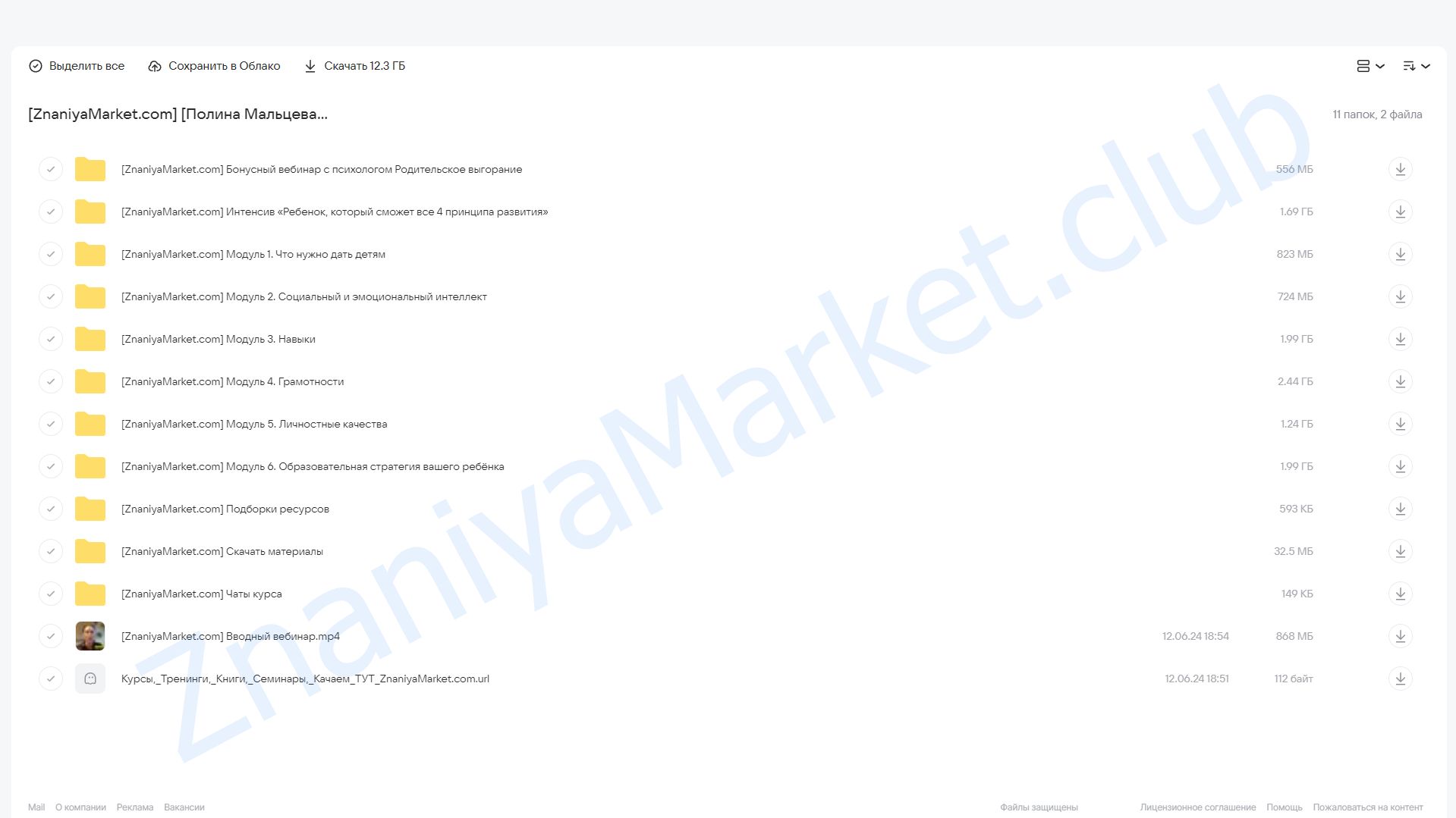 Стратегия образования ребенка 10.0. Тариф Полный (Полина Мальцева) облако mail, фото 2 из 2.