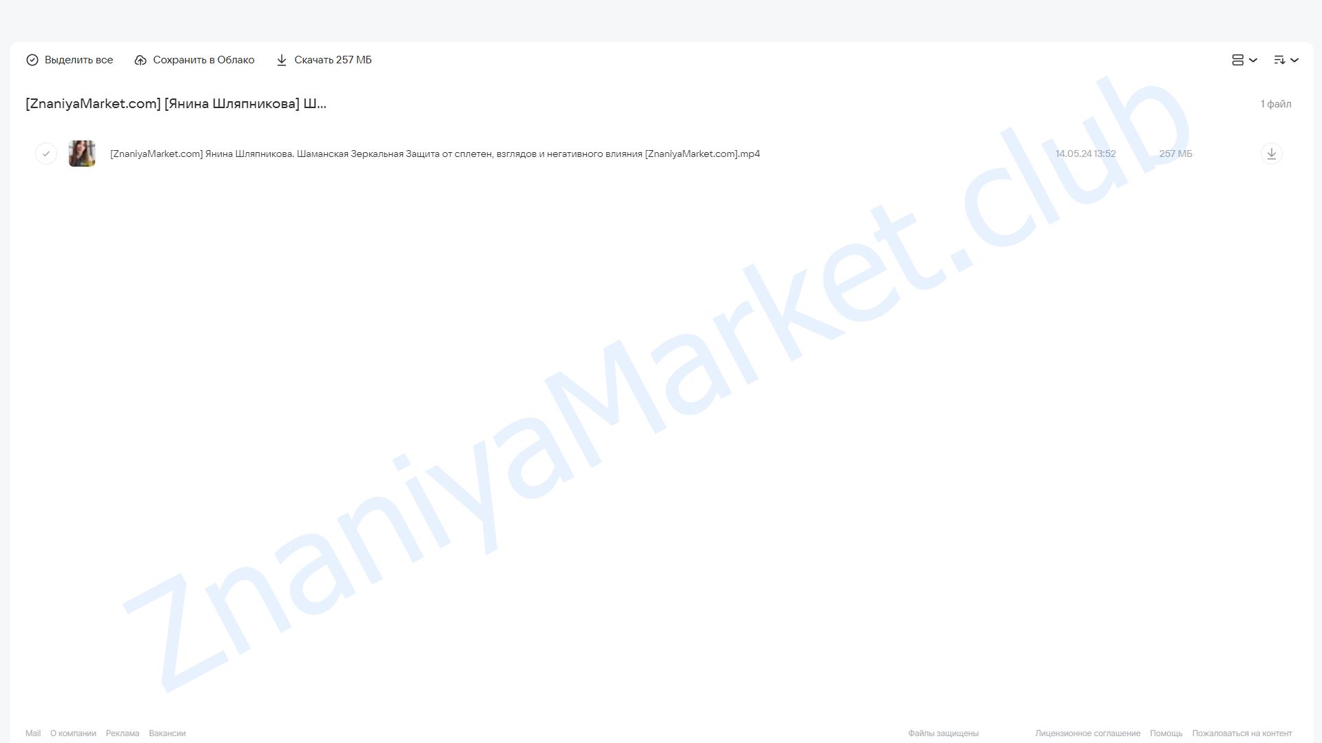 Шаманская Зеркальная Защита от сплетен, взглядов и негативного влияния (Янина Шляпникова) облако mail, фото 2 из 2.