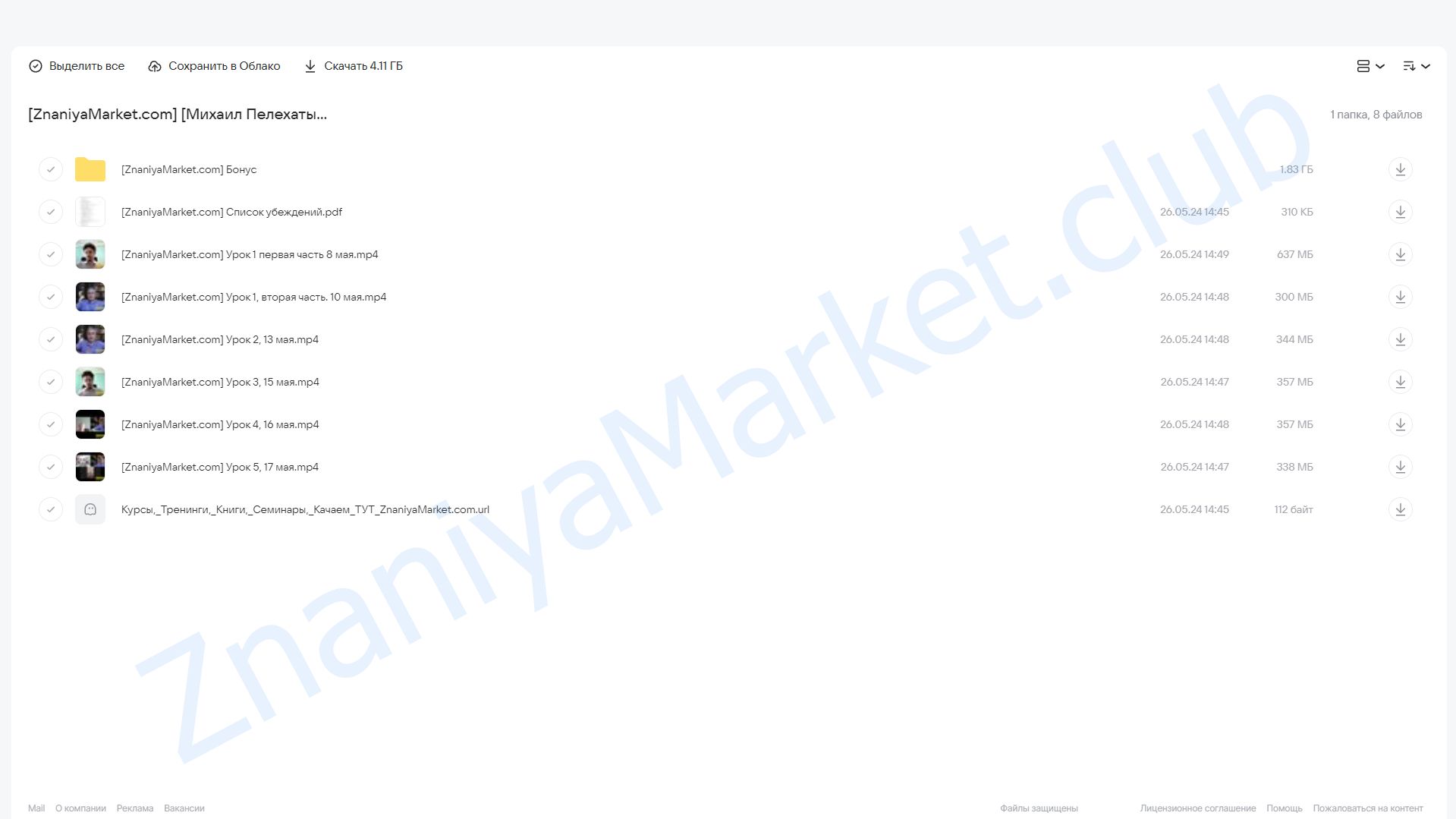 Трансформационный мозгошторм Большие Деньги. Тариф Лайт (Михаил Пелехатый, Николай Ягодкин) облако mail, фото 2 из 2.