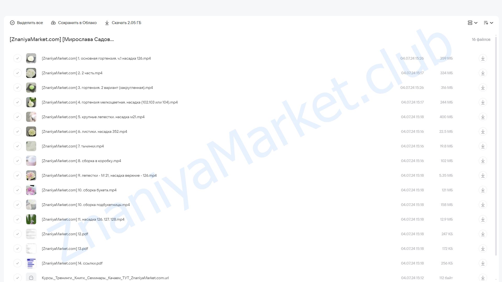 [zefir.mira] Гортензии из зефира (Мирослава Садовая) облако mail, фото 2 из 2.