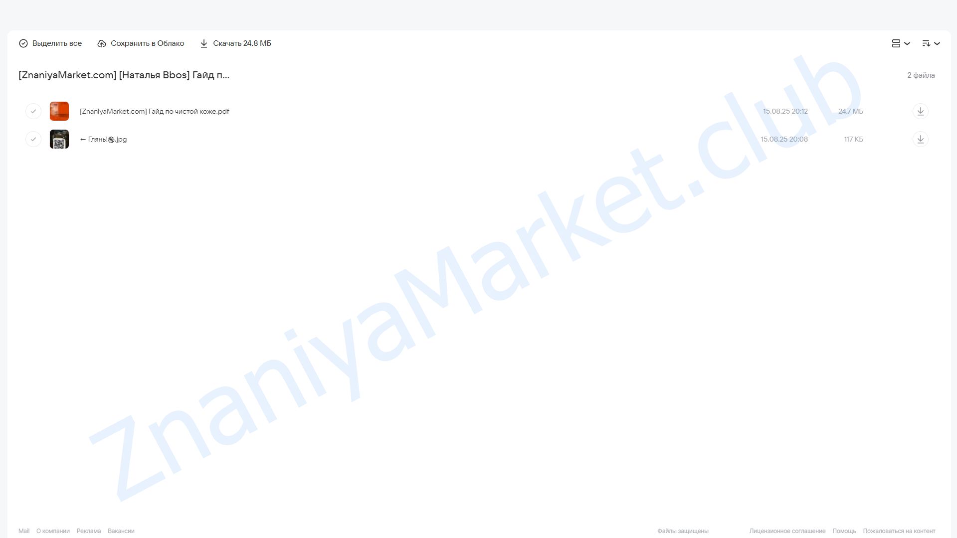 Гайд по чистой коже Blur face (Наталья Bbos) облако mail, фото 2 из 2.