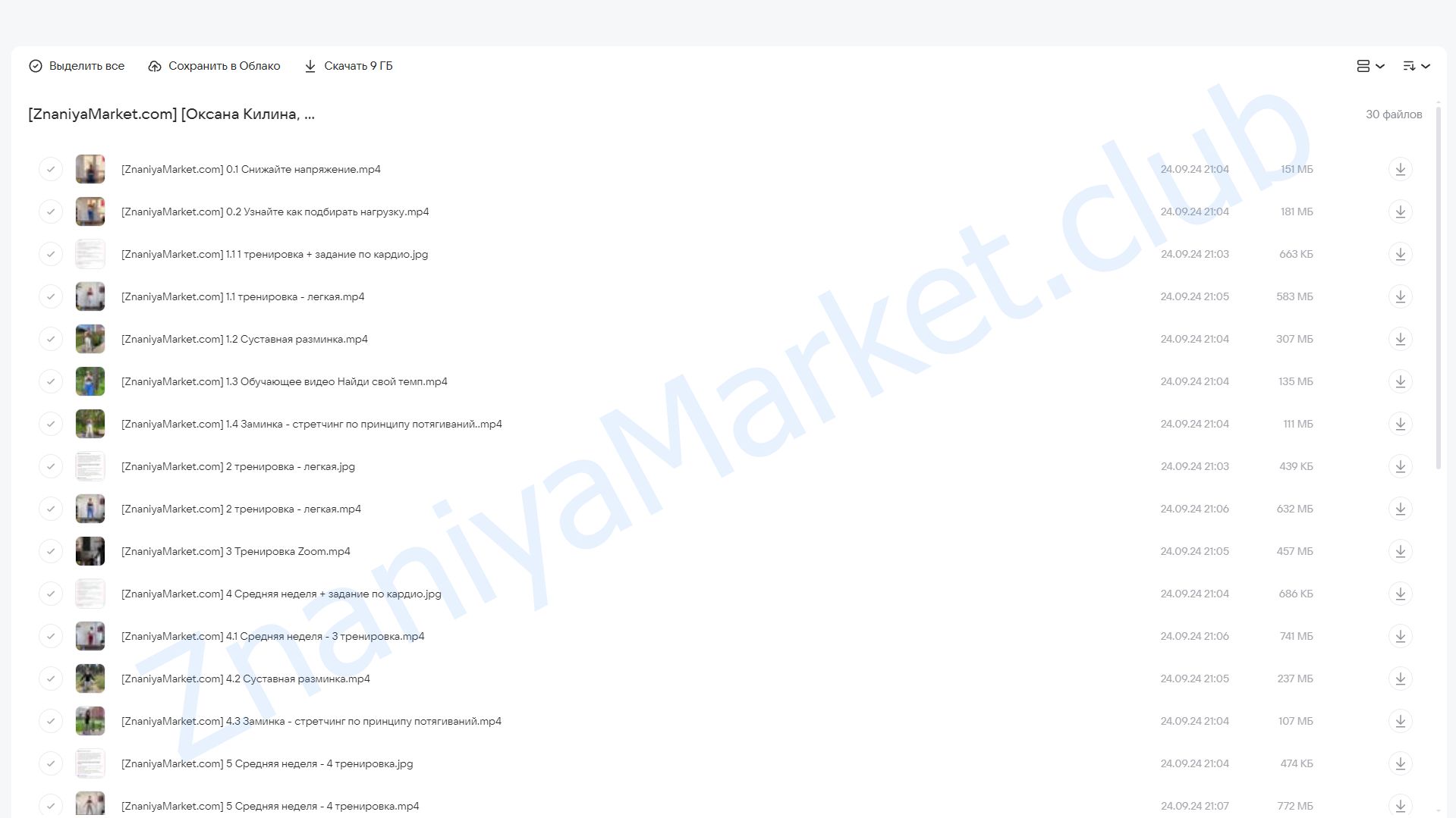 SFT Fullbody. 3 фаза. Тариф Home (Оксана Килина, Ирина Жукова) облако mail, фото 2 из 2.