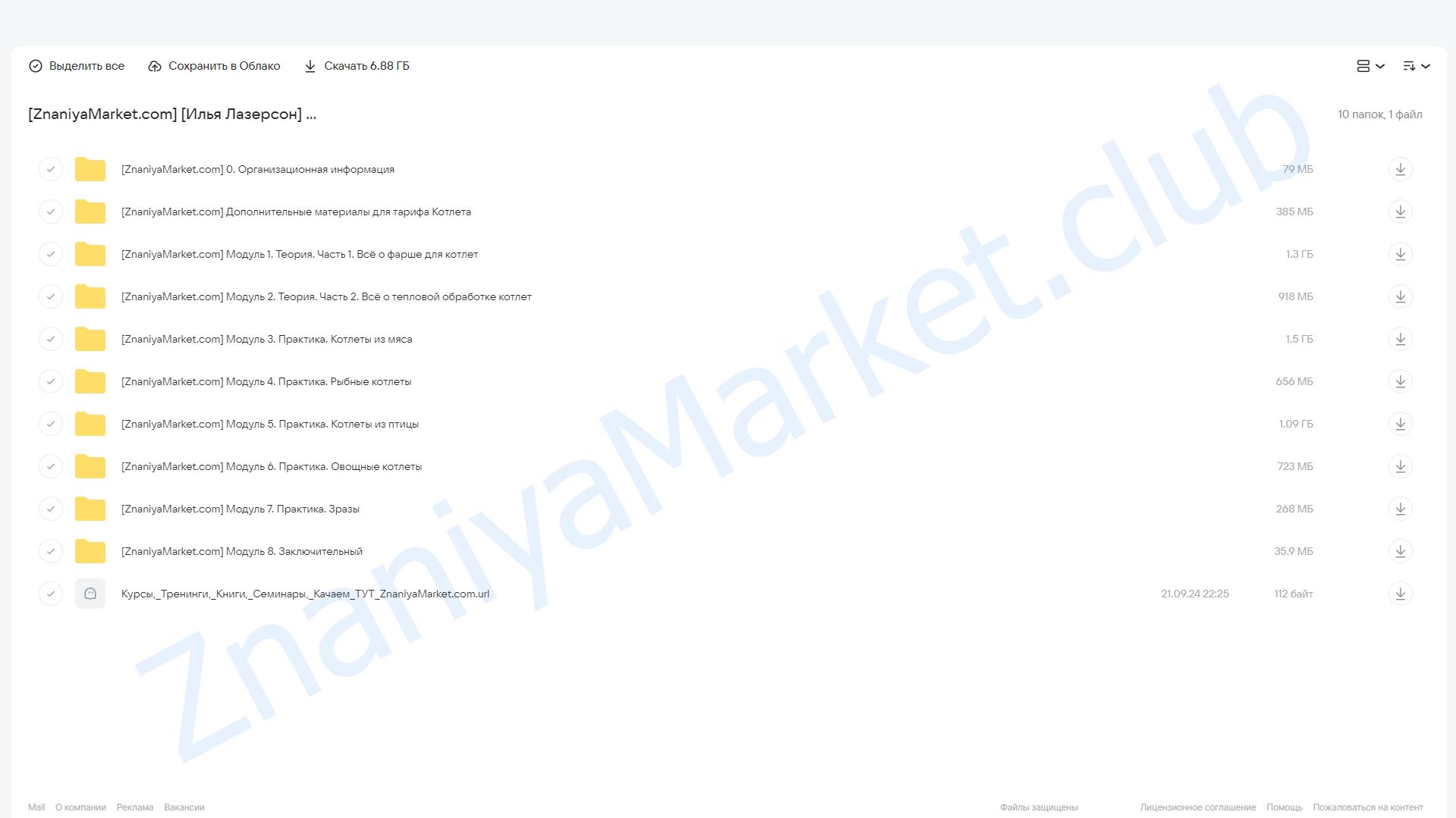 Котлеты. Тариф Котлета (Илья Лазерсон) облако mail, фото 2 из 2.