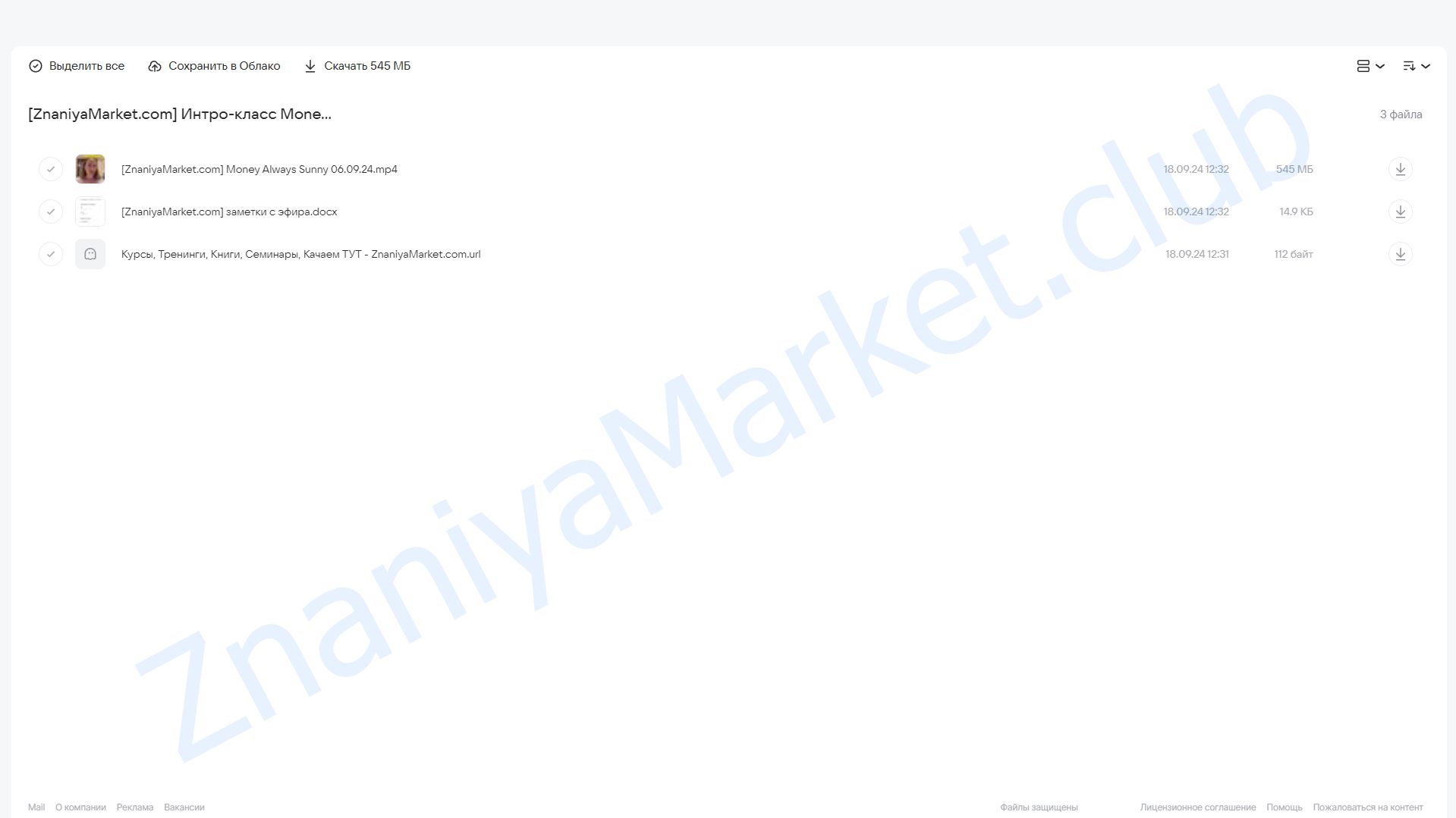 Интро-класс Money Always Sunny 6.09.2024 (Марина Кульпина) облако mail, фото 2 из 2.