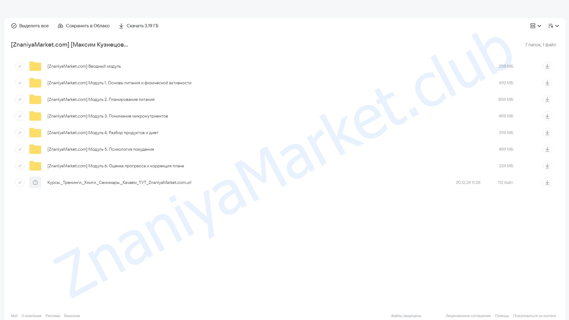 Обезжириватель. Тариф Basic (Максим Кузнецов) облако mail, фото 2 из 2.