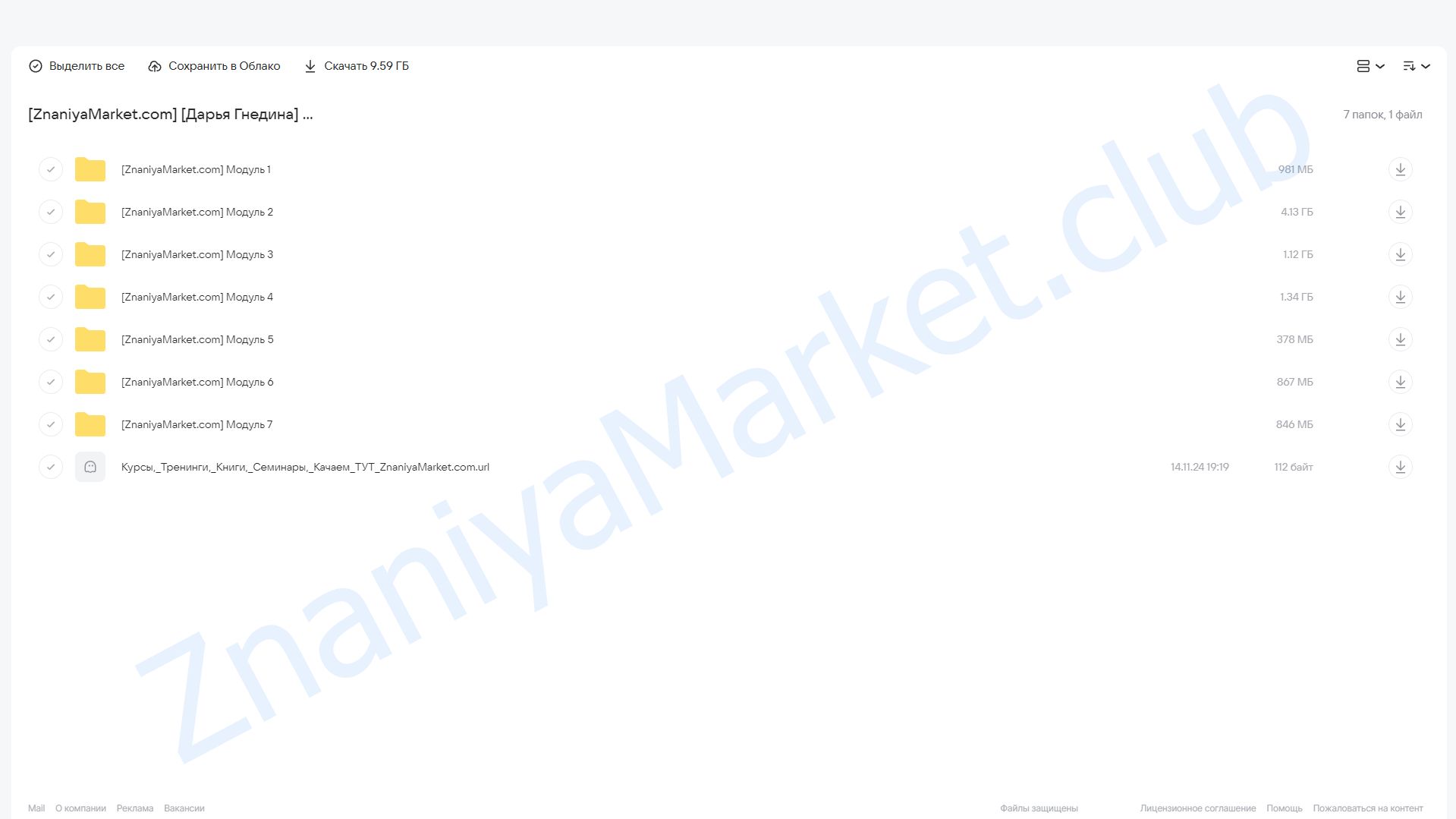 Менеджер по работе с блогерами. Тариф Все включено. Поток 9 (Дарья Гнедина) облако mail, фото 2 из 2.