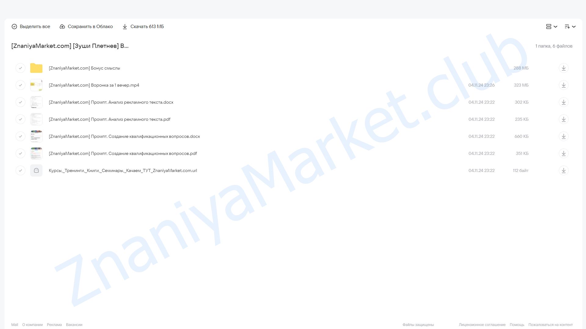 Воронка платных консультаций за 1 вечер (Зуши Плетнев) облако mail, фото 2 из 2.