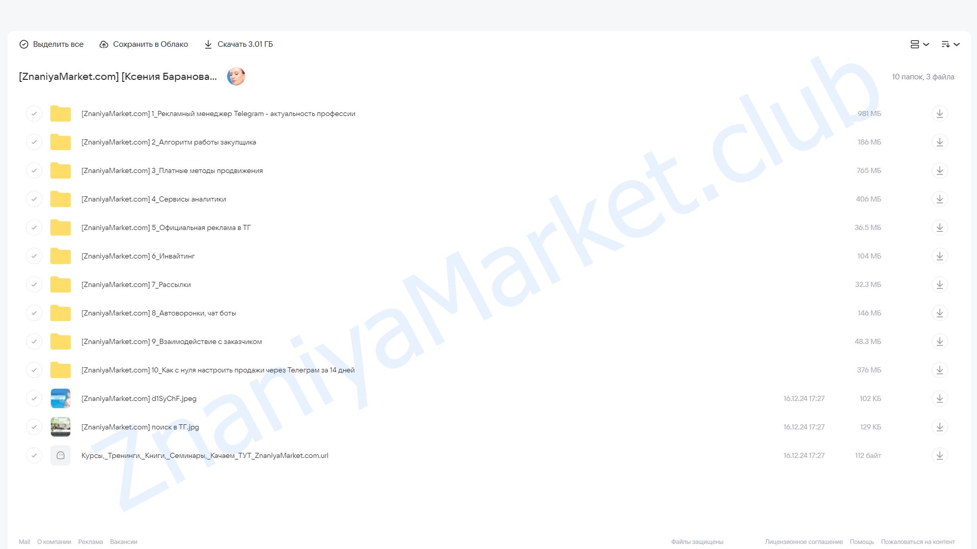 Рекламный менеджер телеграм 2.0 (Ксения Баранова) облако mail, фото 2 из 2.