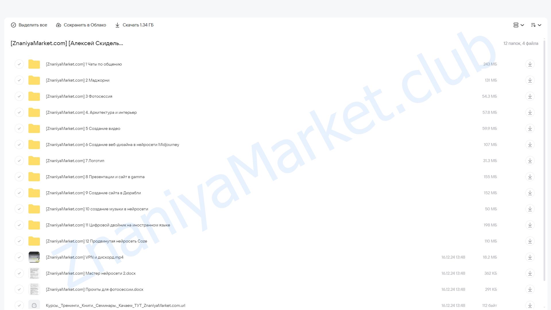 Мастер нейросетей 2.0 (Алексей Скидель, Александра Кузнецова) облако mail, фото 2 из 2.