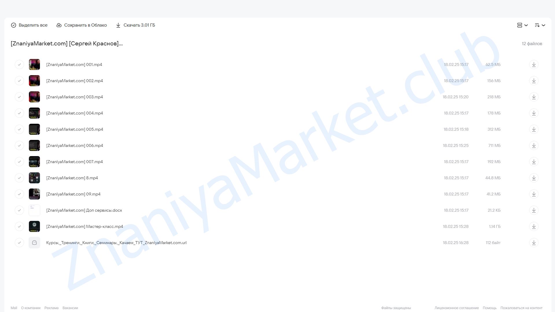 AI-фотосессия. Тариф Pro (Сергей Краснов) облако mail, фото 2 из 2.