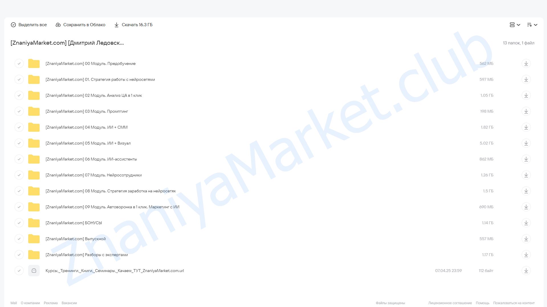 AI-эксперт 7.0 . Тариф Я сам (Дмитрий Ледовских) облако mail, фото 2 из 2.