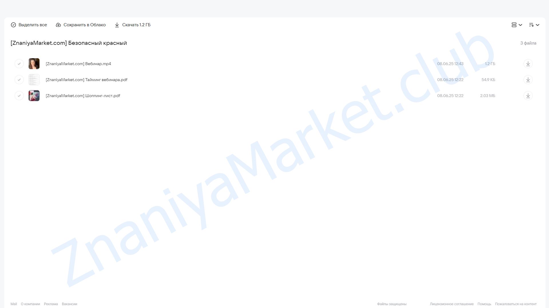 Безопасный красный. Тариф Вечный доступ (Лена Игради) облако mail, фото 2 из 2.