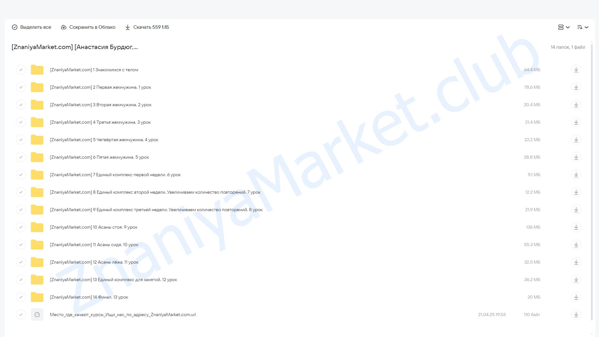 SUPER Тело (Анастасия Бурдюг, Алина Асадова) облако mail, фото 2 из 2.