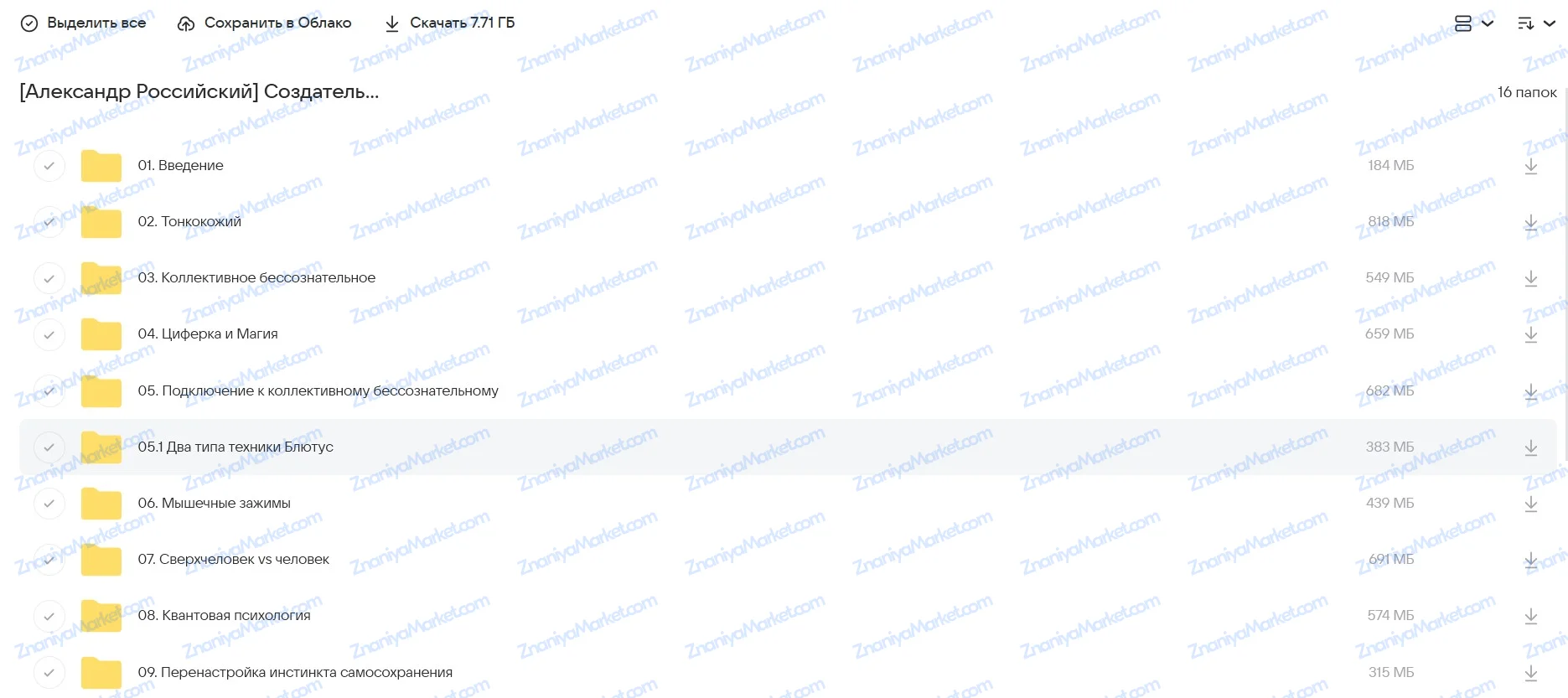 Создатель 2. Тонкокожий человек. Пакет Минимум (Александр Российский) файлы курса на Облако Mail скриншот 1