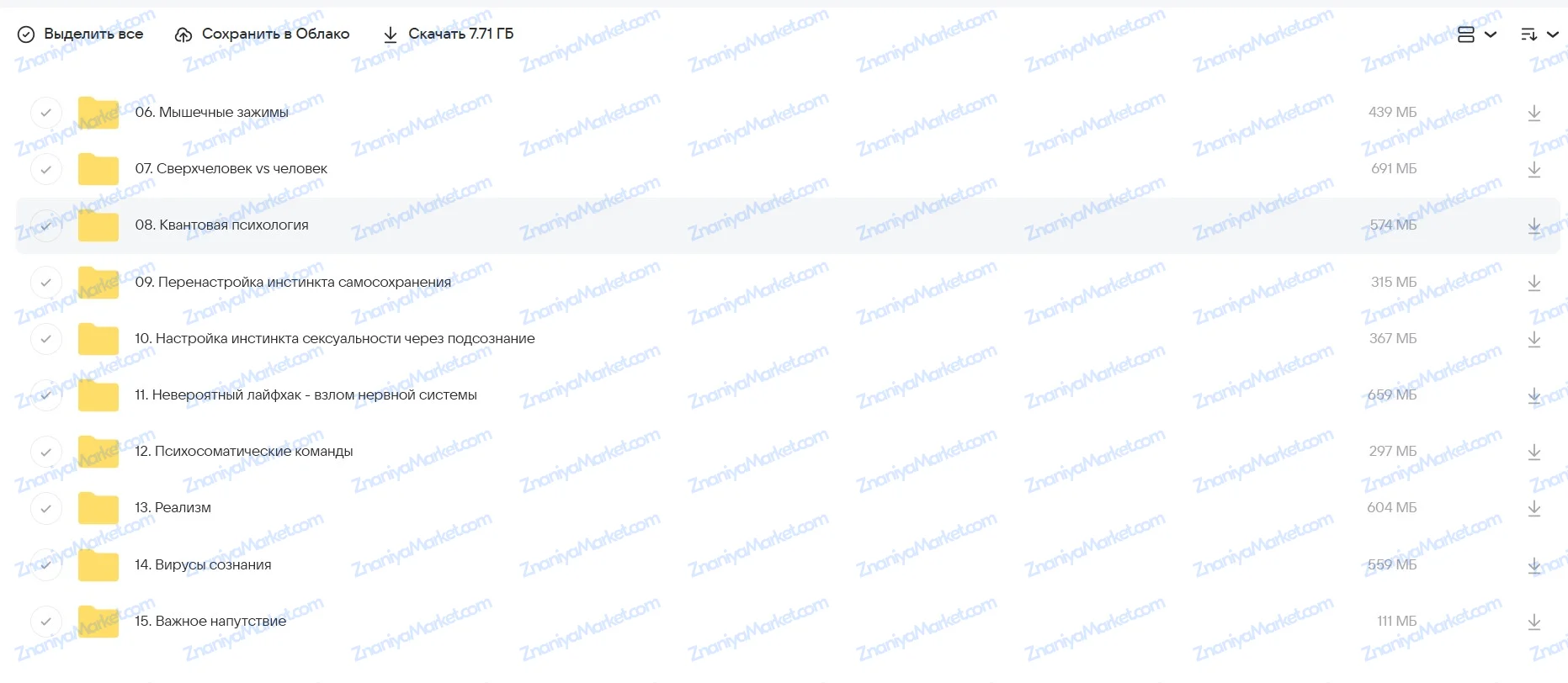 Создатель 2. Тонкокожий человек. Пакет Минимум (Александр Российский) файлы курса на Облако Mail скриншот 2