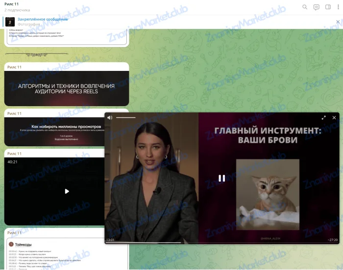 Курс по заработку на reels 11. Тариф VIP (Арина Алекс) файлы курса на  скриншот 1