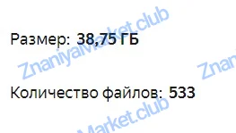 Блестящий курс. Тариф Бизнес (Галина Гулевская) файлы курса на  скриншот 1