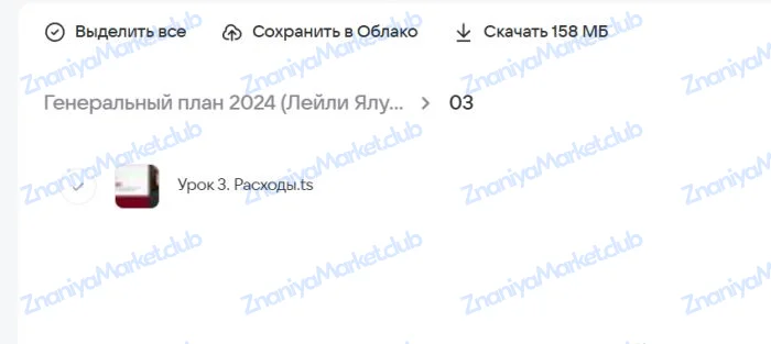 Генеральный план 2024 (Лейли Ялунина) файлы курса на  скриншот 2