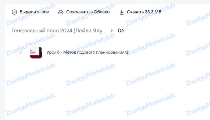 Генеральный план 2024 (Лейли Ялунина) файлы курса на  скриншот 3