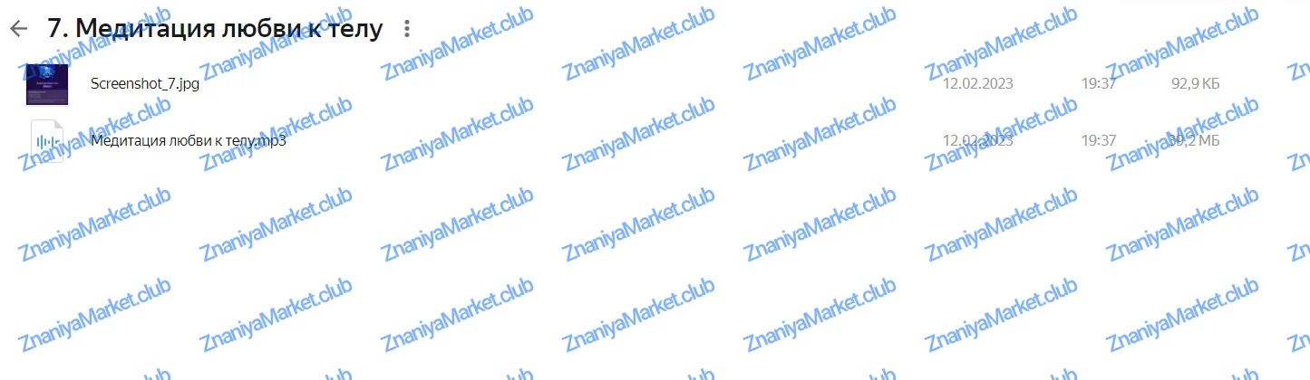 Самопрограммирование 2023 (Александра Белякова) файлы курса на Яндекс Диск скриншот 6