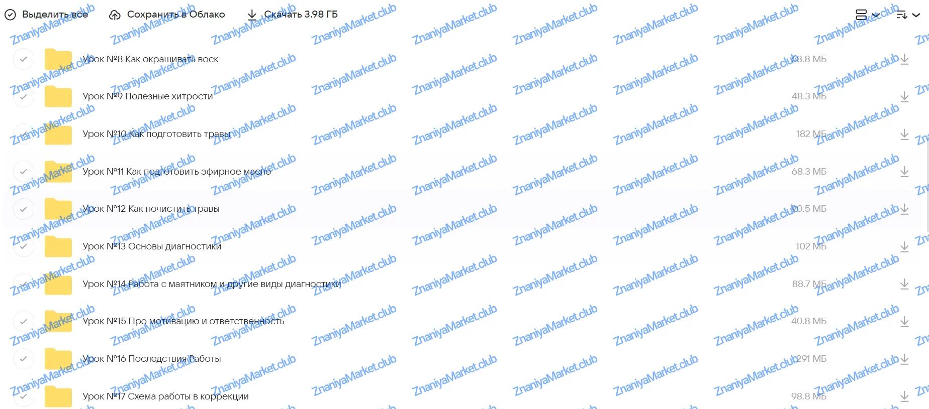 [Город Мастеров Жизни] Полный курс Высшая Свечная Магия (Светлана Цыганова) файлы курса на  скриншот 2