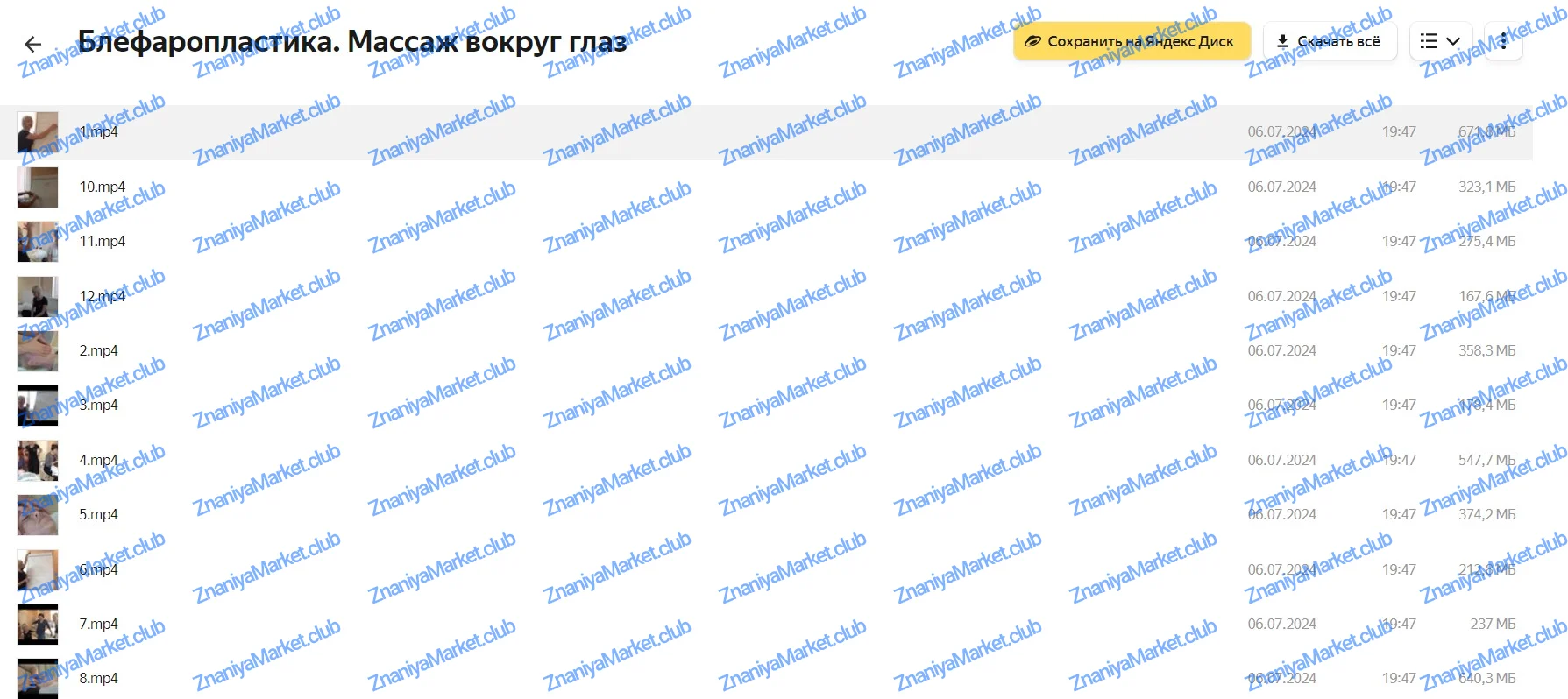 Все массажные техники по телу и лицу (Татьяна Шубина) файлы курса на Яндекс Облако скриншот 3