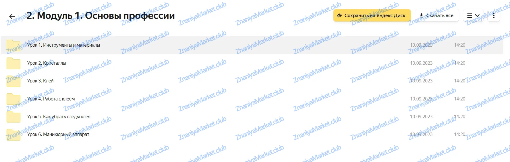 Блестящий курс. Тариф Бизнес (Галина Гулевская) файлы курса на  скриншот 5