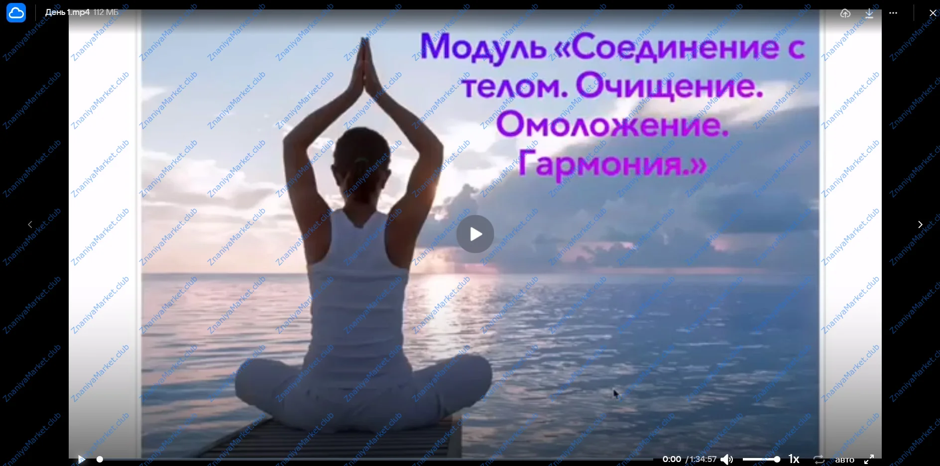 Соединение с телом. Очищение. Омоложение. Гармония. Январь 2024 (Эмилия Франк) файлы курса на Облако Mail скриншот 2