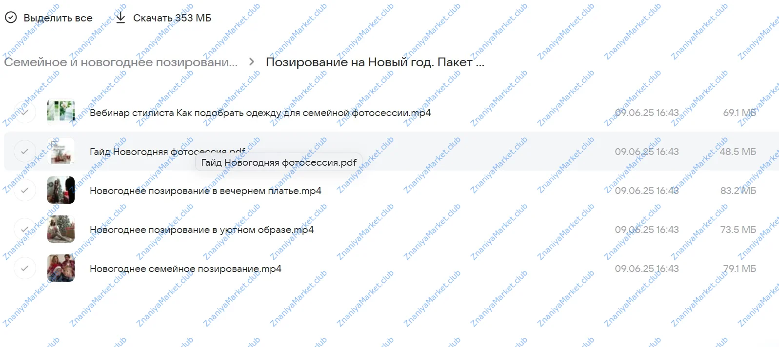 Семейное и новогоднее позирование (Катерина Власенко) файлы курса на облаке скриншот 2