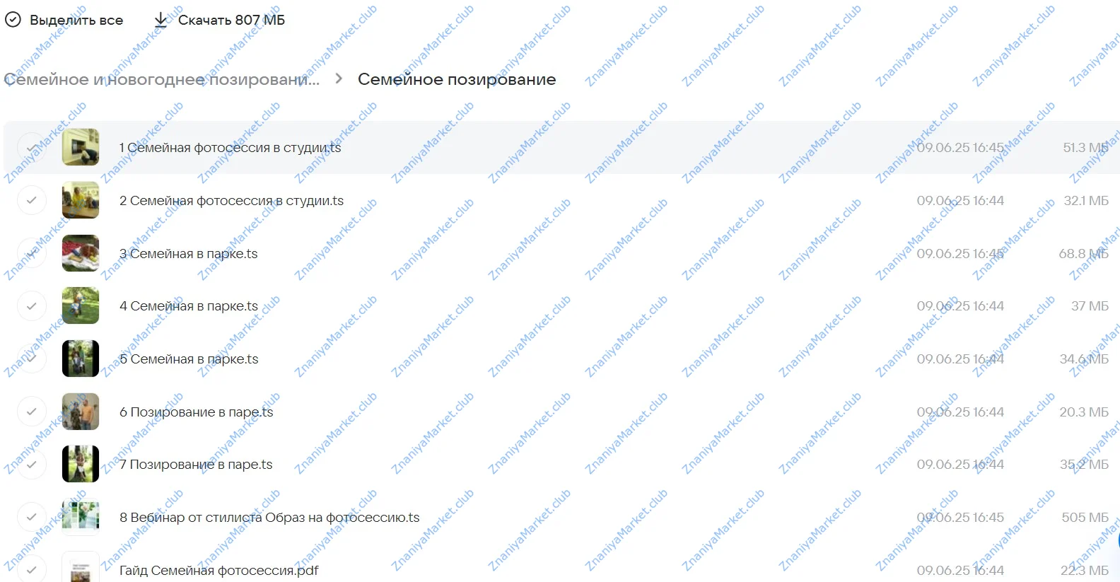 Семейное и новогоднее позирование (Катерина Власенко) файлы курса на облаке скриншот 3