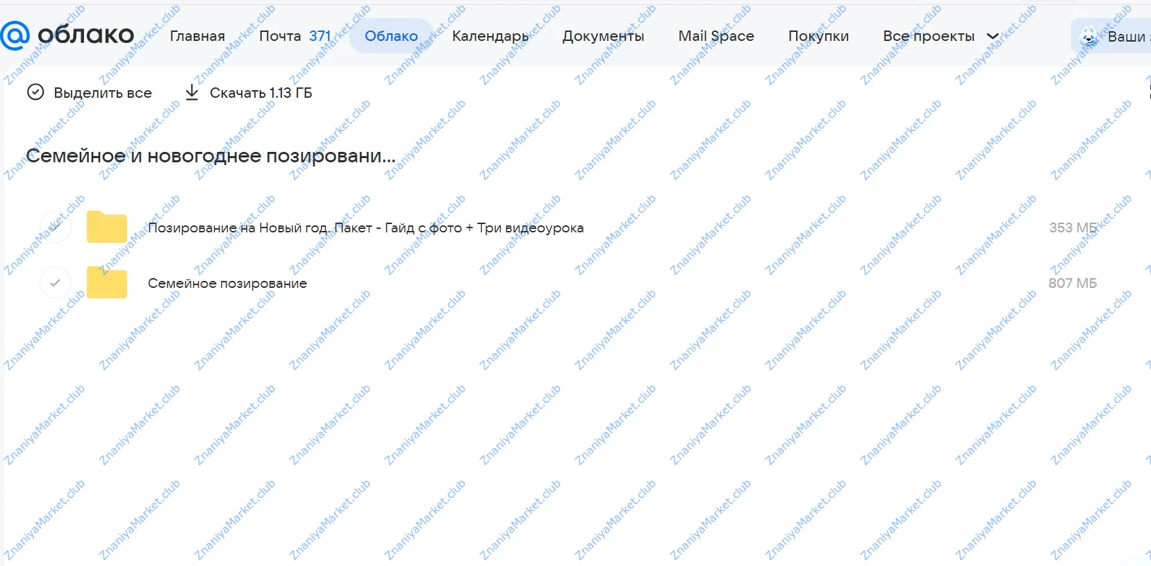 Семейное и новогоднее позирование (Катерина Власенко) файлы курса на облаке скриншот 1