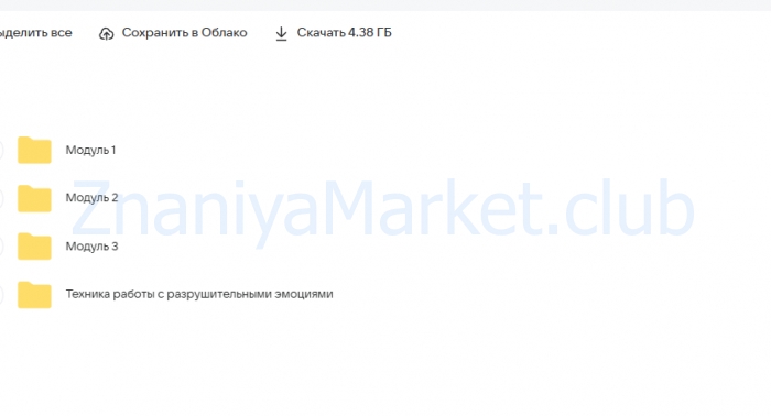 Полный курс по нумерологии. 3 модуля (Светлана Белова) скрин на облаке, фото 2 из 2.