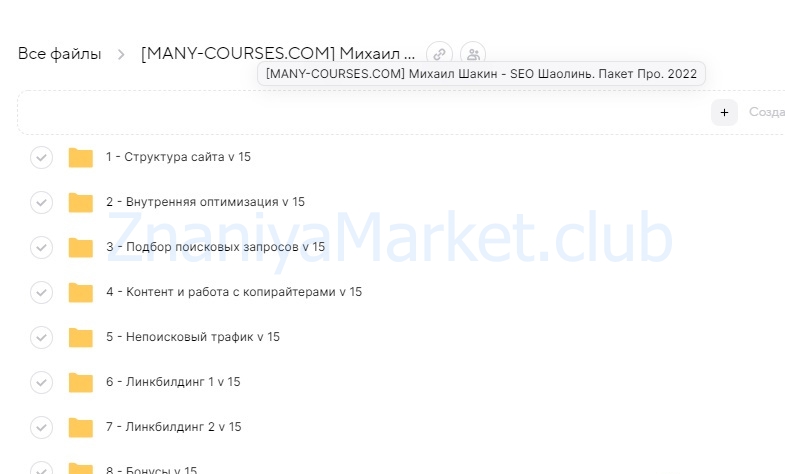 SEO Шаолинь. Пакет Про (Михаил Шакин) скрин на облаке, фото 2 из 2.