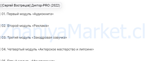 Диктор-PRO. Тариф - Pro (Сергей Вострецов) скрин на облаке, фото 2 из 2.