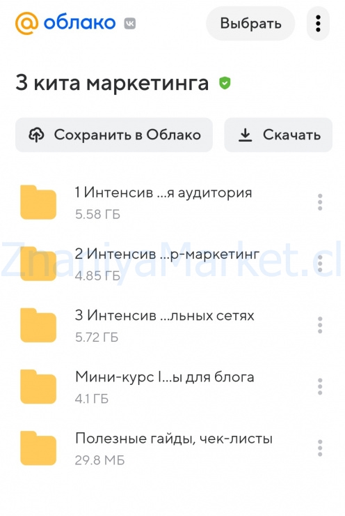 3 кита маркетинга: целевая аудитория, триггеры, контент (Юлия Родочинская) скрин на облаке, фото 2 из 2.