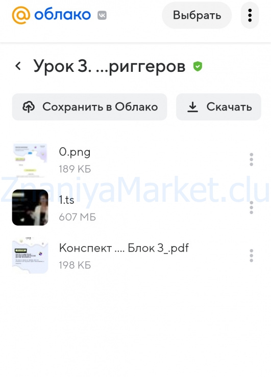 3 кита маркетинга: целевая аудитория, триггеры, контент (Юлия Родочинская) скрин на облаке, фото 2 из 2.