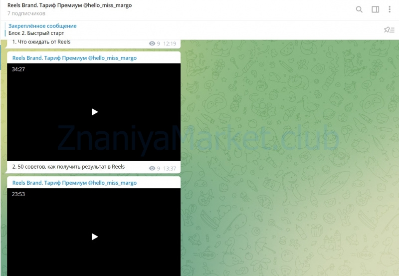 [hello_miss_margo] Reels brand. Тариф Premium (Маргарита Бышкова) скрин на облаке, фото 2 из 2.