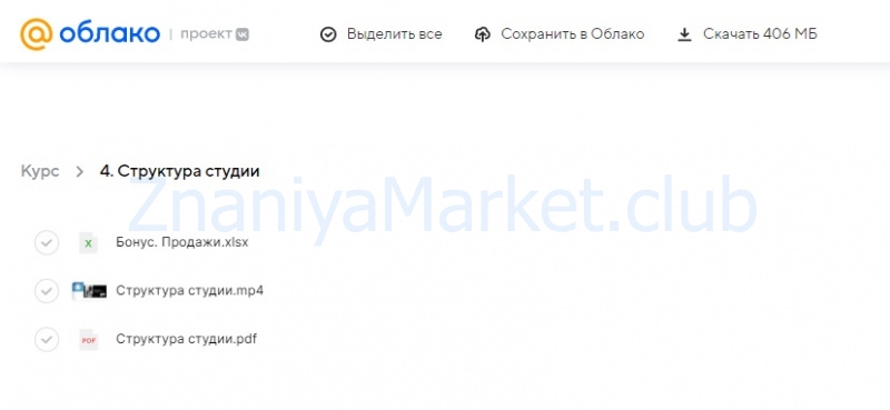Своя студия. От хаоса к системе за 6 шагов + регламенты (Леся Печенкина) скрин на облаке, фото 2 из 2.