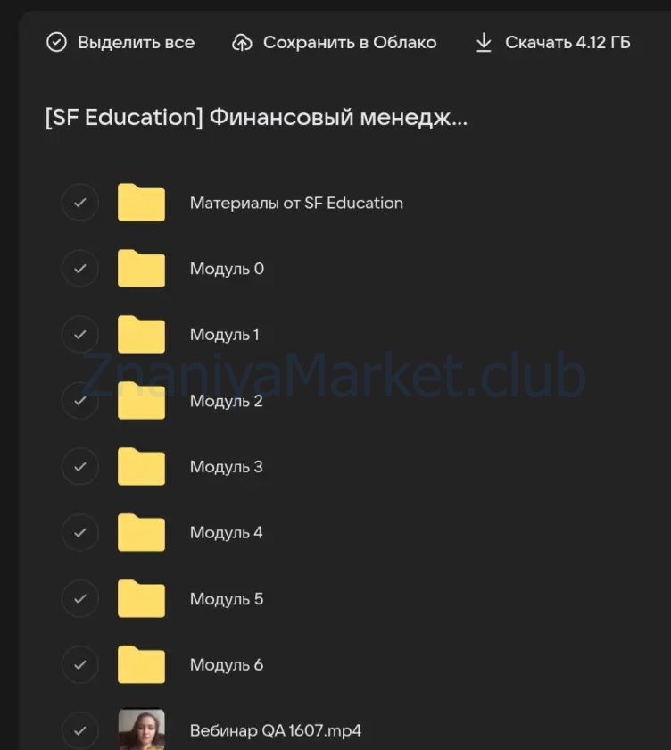 [SF Education] Финансовый менеджер (Антон Якушин, Павел Онищенко) скрин на облаке, фото 2 из 2.