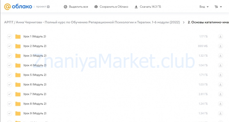 [АРПТ] Полный курс по Обучению Репарационной Психологии и Терапии. 1-6 модули (Анна Чернигова) скрин на облаке, фото 2 из 2.